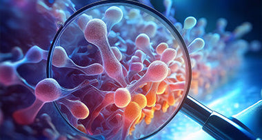 Science Research Studies-Oligopeptides