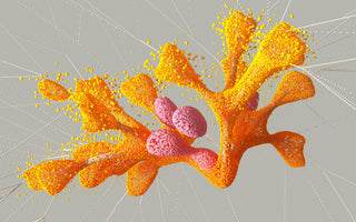 Science Research Studies-GHRP-2 V’S GHRP-6 Peptides