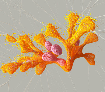 Science Research Studies-GHRP-2 V’S GHRP-6 Peptides