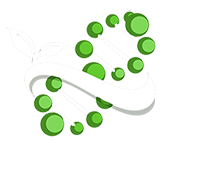 abstract green logo representing growth and sustainability with circular design elements and a leaf symbolizing nature and six sustainable principles